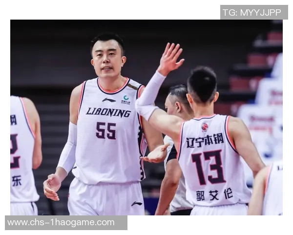 四川对阵辽宁精彩比赛录像回放全程回顾与分析